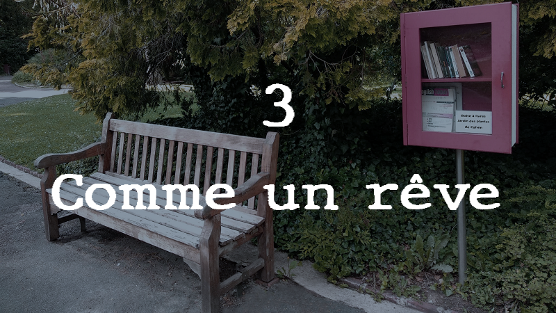 chapitre-3-point-de-rupture-comme-un-reve-fiction-realiste